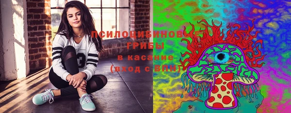 СК Михайлов