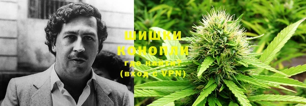 ПСИЛОЦИБИНОВЫЕ ГРИБЫ Абдулино