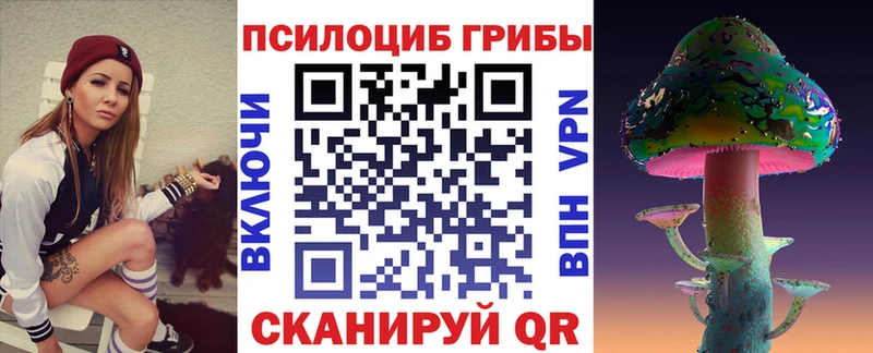Галлюциногенные грибы Cubensis  KRAKEN ТОР  Юрга 